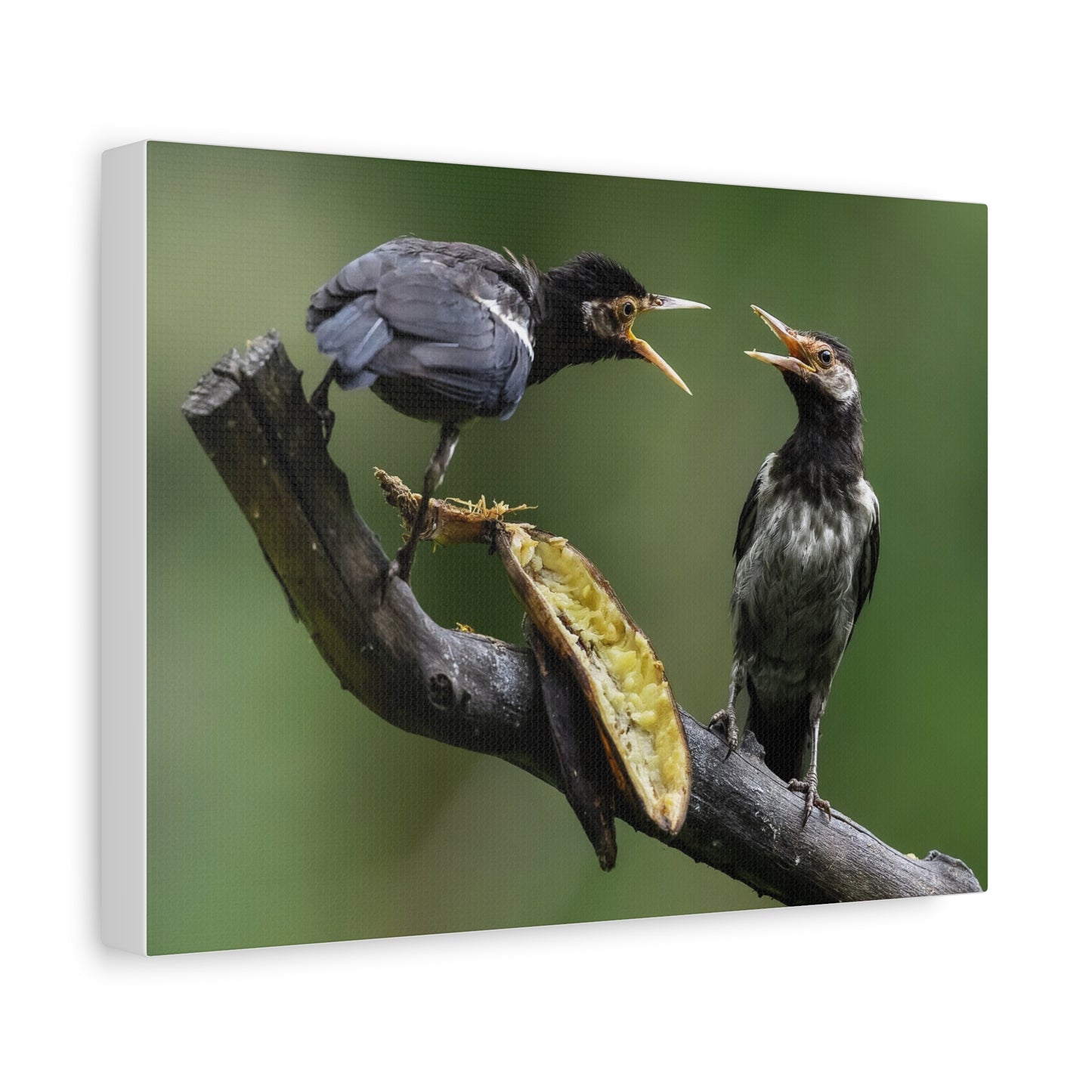 Nature-Inspired Canvas Print, Bird Wall Art, Home Decor, Gift for Bird Lovers, Nature Photography, Unique Wall Art